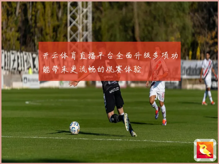 开云体育直播平台全面升级多项功能带来更流畅的观赛体验