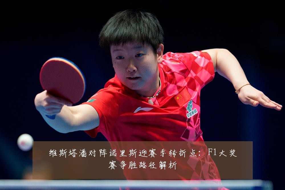维斯塔潘对阵诺里斯迎赛季转折点：F1大奖赛争胜路径解析