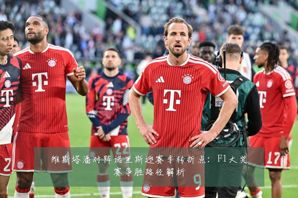 维斯塔潘对阵诺里斯迎赛季转折点：F1大奖赛争胜路径解析