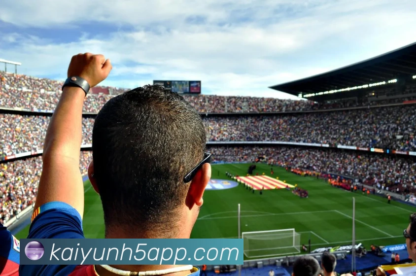 开云平台展示图